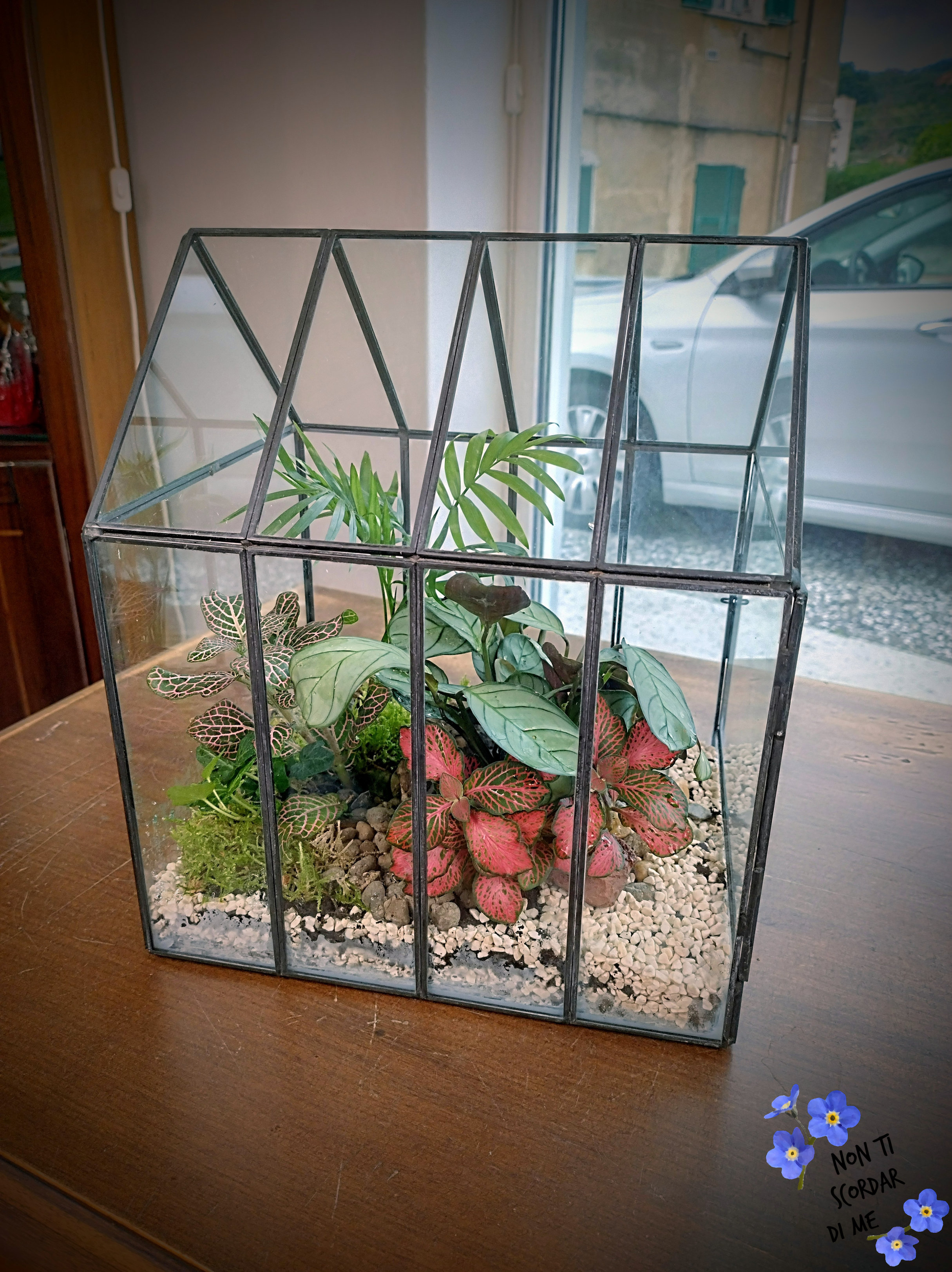 Terrarium