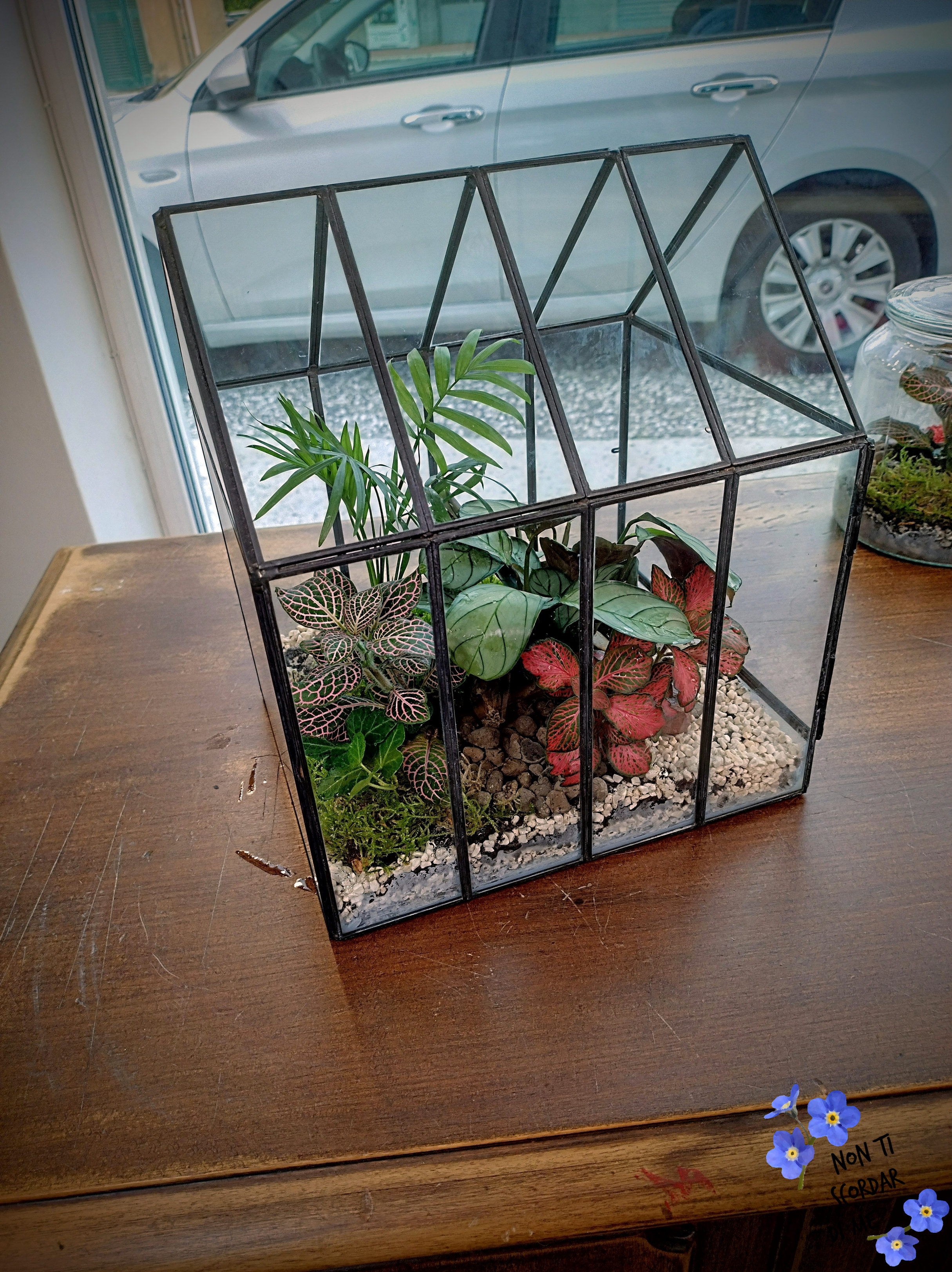 Foto Terrarium