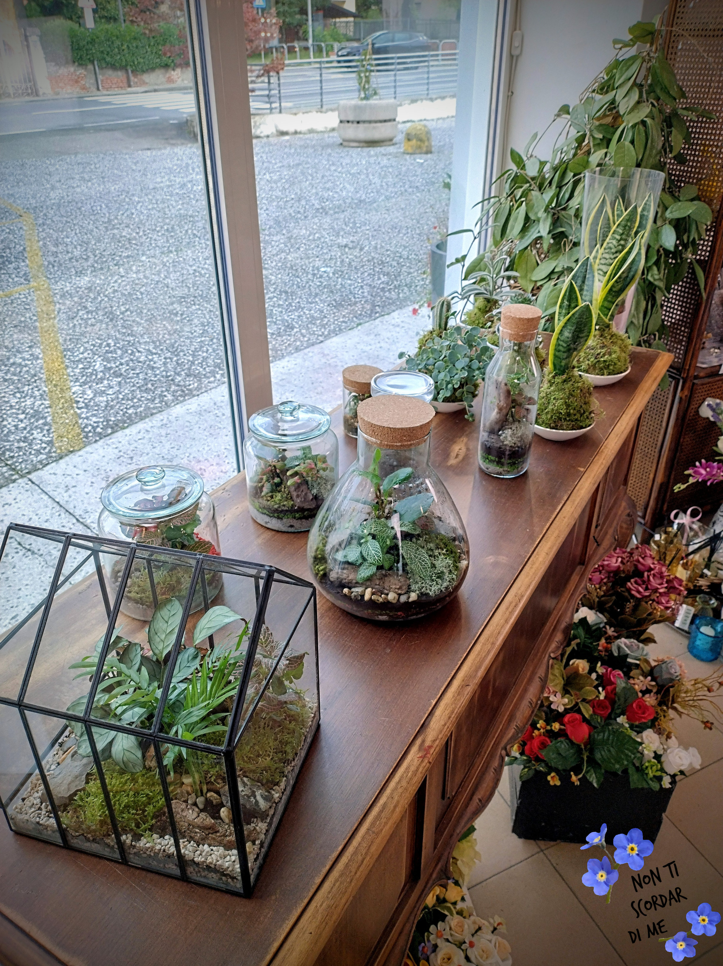 Foto Terrarium