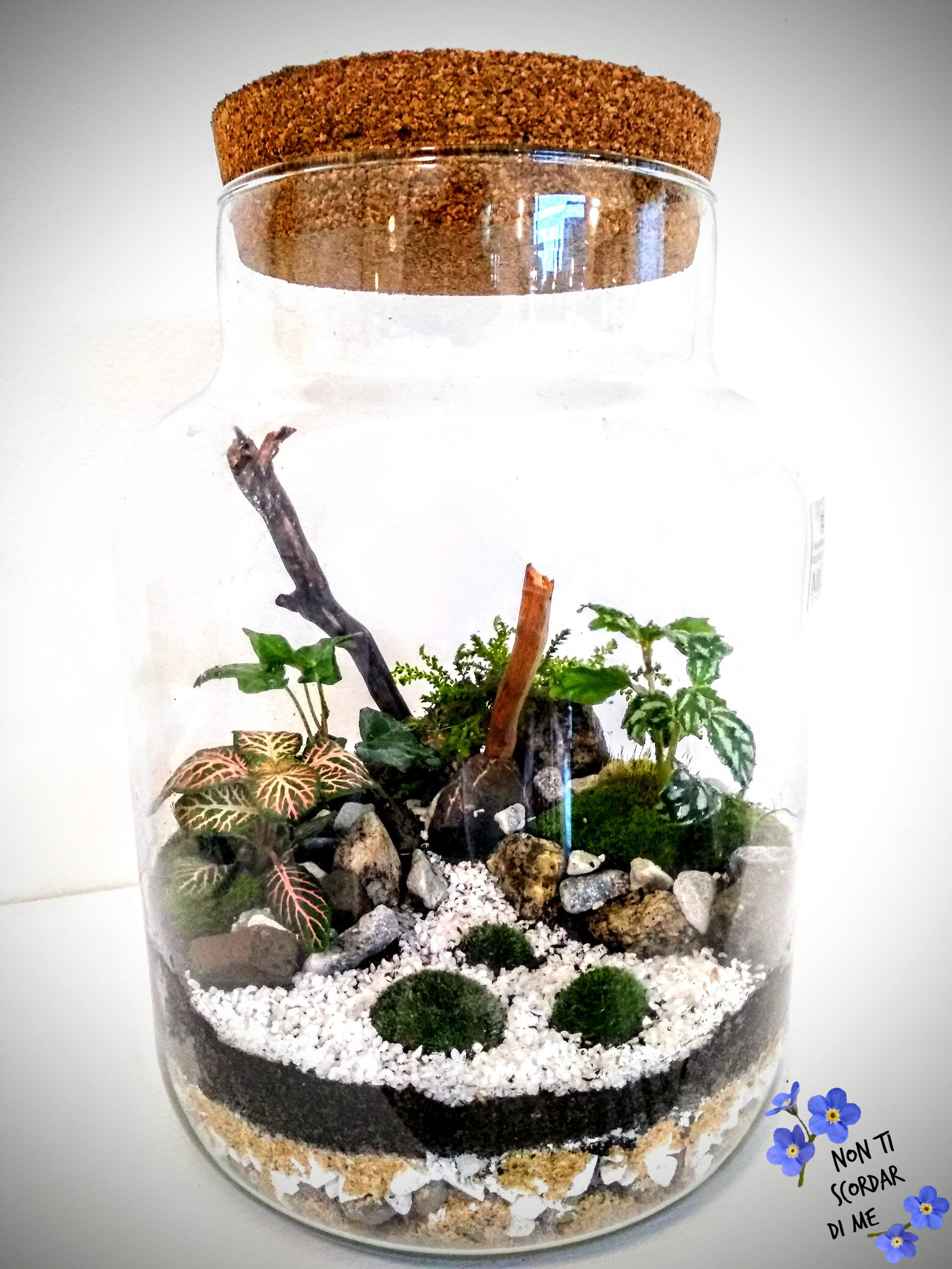 Foto Terrarium